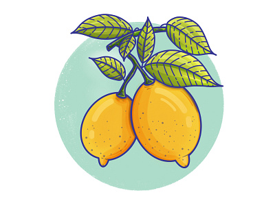 🍋Lemons🍋 app art artwork design digital drawing dribbble flat fruit icons illustration illustrator illustrator cc lemons procreate sketch yellow