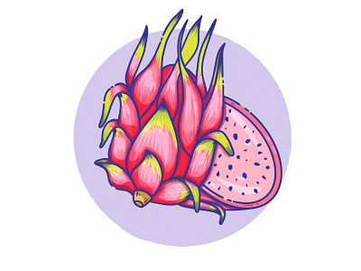 Dragon fruit app art artwork colorful design digital dragonfruit drawing dribbble flat fruit illustration illustrator ipad pink procrate procreateapp sketch tropical