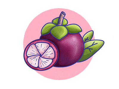 Mangosteen art design digital drawing dribbble flat fruit fruits icon illustration illustrator ipad pro lilac mangosteen procreate