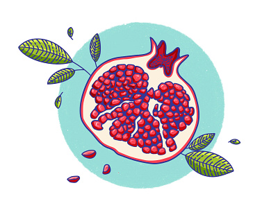 Pomegranate art artwork design digital drawing dribbble flat fruit illustration illustrator pomegranate procreate