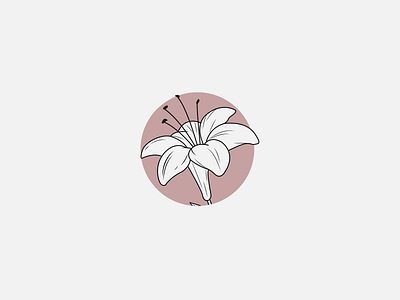 Lily art circle feminine flowers illustration lily vector