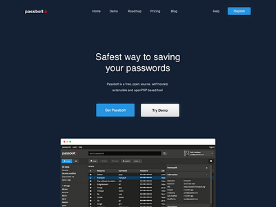 Passbolt Landing Page design hero banner landing page ux ui