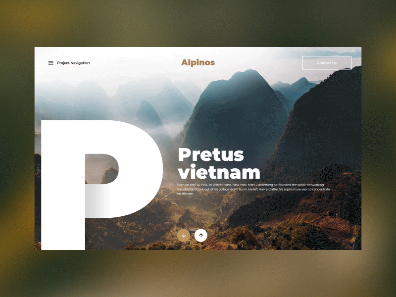 Alpinos mountains - Landing Page animation design ecommerce gallery gif hover interaction interface landing layout minimal muzli nature slider typography ui ux video web website