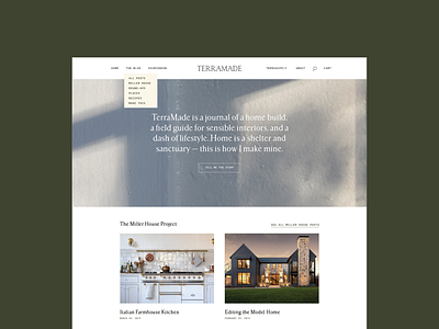 TerraMade Blog Design blog blog design brand identity web design website