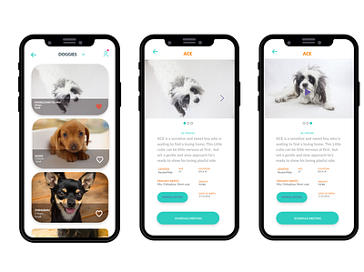 Rookie animal adoption app interface shelter ui design ux design
