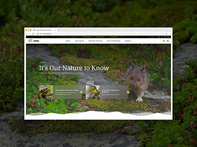 Biodiversity Monitoring animals biodiversity branding design desktop ecosystems graphic design homepage land landscape leaf logo monitoring page reporting science ui ux web website