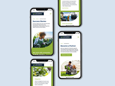 Bioenterprise agriculture bio cards community design enterprise food graphic design industry innovation mobile research responsive screens service start ups ui ux web website