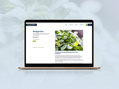 Bioenterprise – Post agri tech agriculture bio community design engine enterprise experience innovation membership post screens start up sticky technology ui usability ux web website