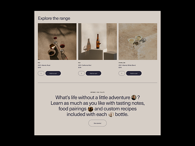 Home Page Snippet branding design ui