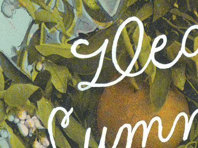 Postcard - Dear Summer fruit handwriting lettering letters postcard script type