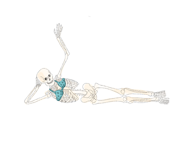 Come Hither design digital illustration illustration procreate app skeleton