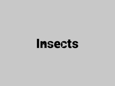 Insects animal clever design insects logo logomark typography