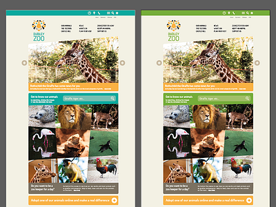 Dudley Zoo Web Design colours design uk web webdesign zoo