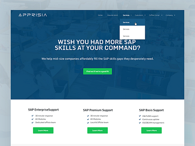 Homepage Redesign of tech company blue flat green homepage redesign sap services support tech