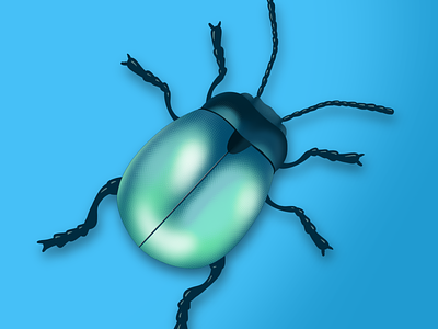 Scarableu beetle illustration procreate