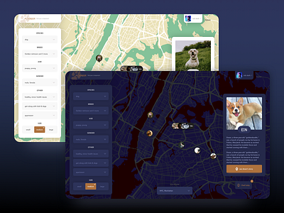 Pet Finder Concept adopt adoption cat concept corgi dark theme design dog finder light theme map pet ui ux web app web app design