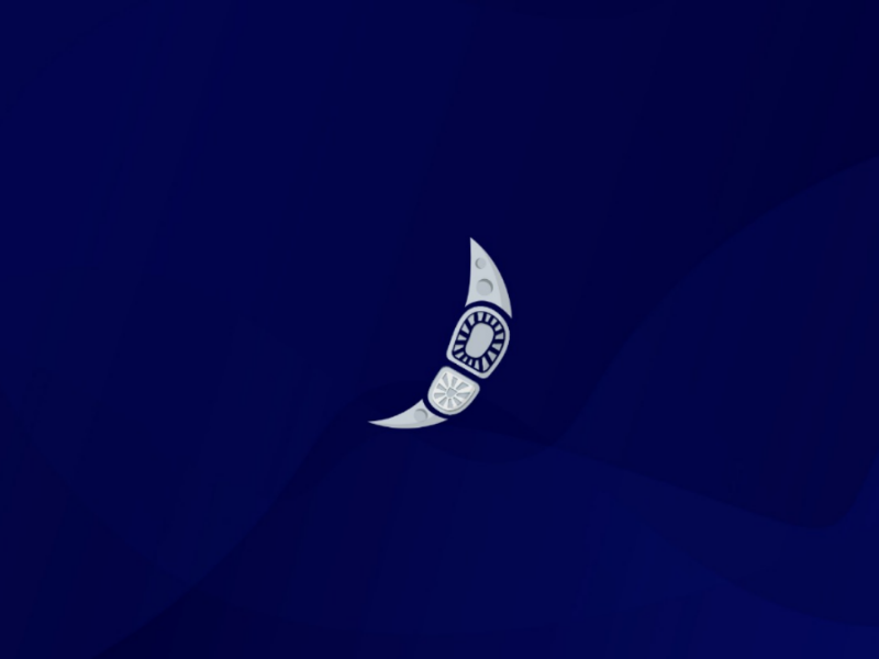 50 years of Moon Landing conceptdesign firstmanonmoon moon apollo11 missionmoon 50years moonlanding minimalistic illustration vector design