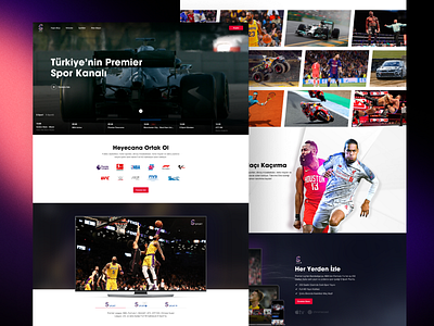 Sport TV Web Site