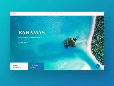 Agency travel website