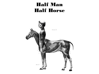 Half Man Half Horse Illustrated Typography Print anatomy centaur horse illustration medical muscle mutant poster print skeleton typography vintage