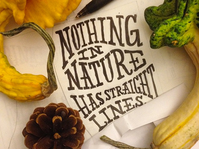 Nothing in Nature has Straight Lines handlettering lettering
