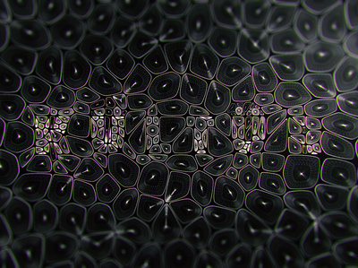 title 3d art illustration title title design typography