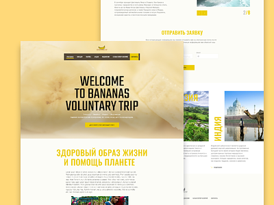 Voluntary trip around the earth design figma travel ui ux design web design