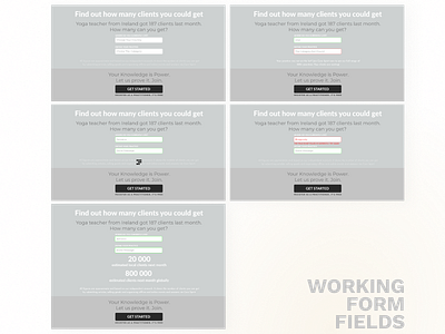 Working Form Fields