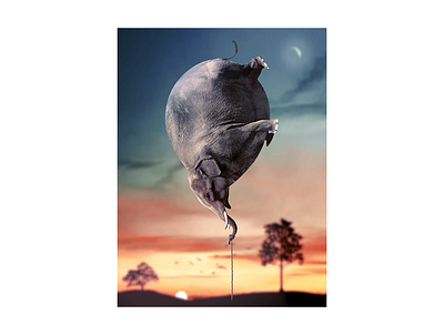 Balloonephant design photomanipulation