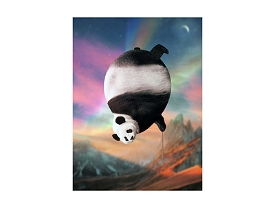 Pandalloon design photomanipulation