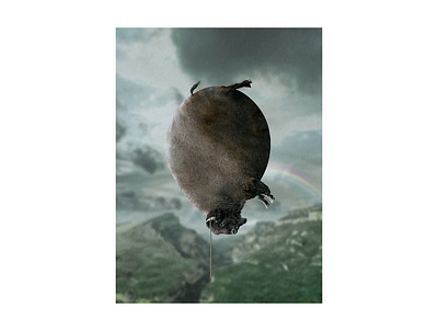 buffalloon design photomanipulation