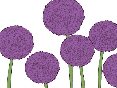 Allium drawing for a branding project branding logo wip