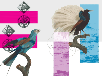 Some scribbles for a new pattern bird collage illustrator line pattern surfacedesign wip
