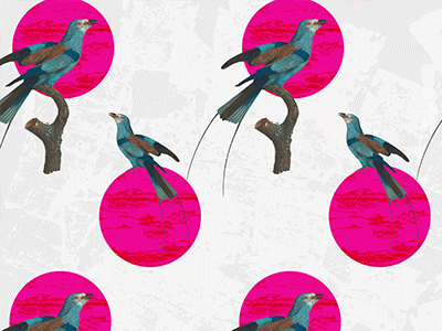Pink and blue bird pattern WIP bird collage illustrator line pattern surfacedesign wip