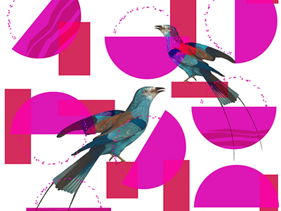 Weird Birds bird collage illustrator line pattern surfacedesign wip