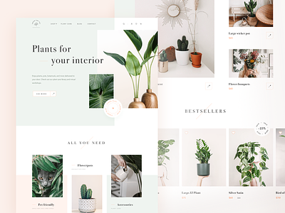 House Plant Store design ecommerce minimal nature plants shop ui ux web website