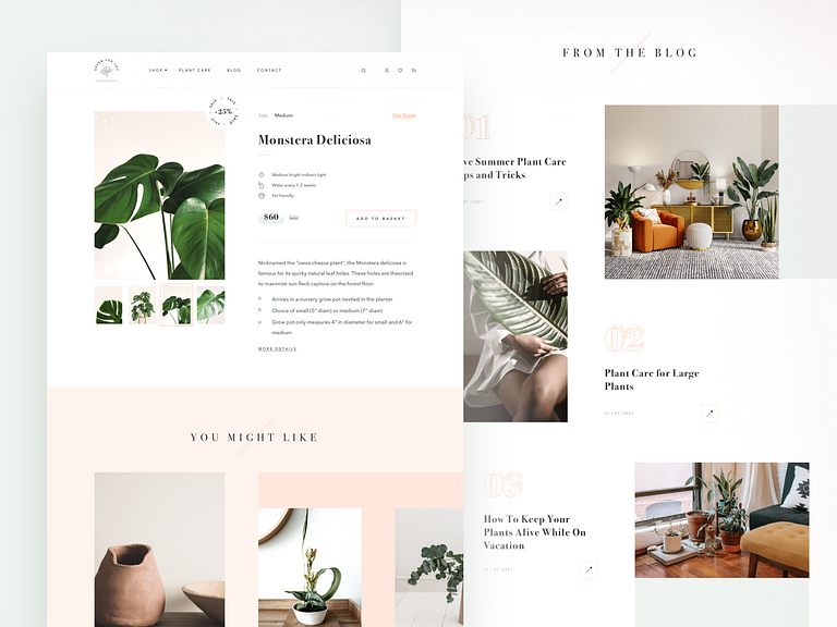 House Plant Store - Product Page by Ania Tołoczko for mohi.to on Dribbble