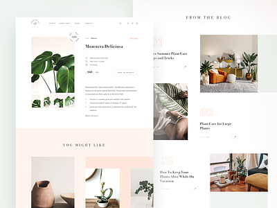 House Plant Store - Product Page design ecommerce minimal nature plants shop ui ux web website