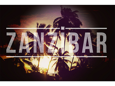 Zanzibar Palm Trees photography texture typography zanzibar