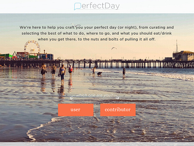 Perfect Day Landing page Exploration graphic design ux website