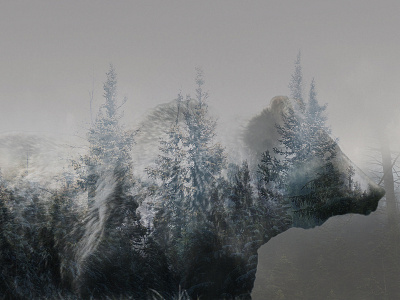 Tree Bear design digital double exposure graphic illustration