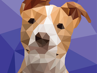 Low Poly Dog dog dog illustration illustration lowpoly lowpolyart