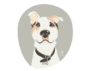 Cooper design dog illustration doggo doodle flat flat illustration illustration pet pet portrait pit pitbull portrait sketch vector