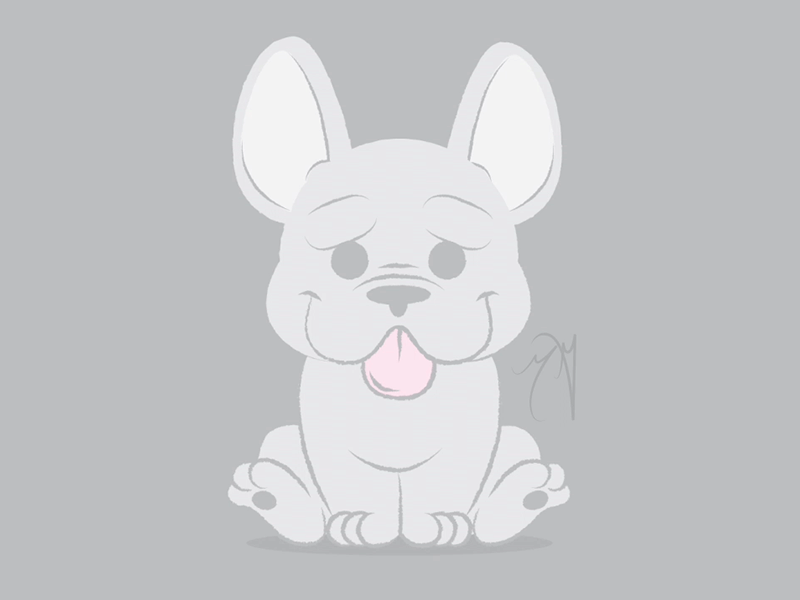 Frenchie after effects animation animation 2d animation after effects bulldog design dog dog doodle doggo doodle flat flat illustration french bulldog frenchbulldog frenchie gif gif animation illustration sketch vector
