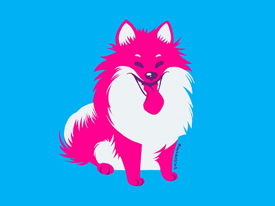 Pomeranian in Pink design doodle flat flat illustration illustration pink pomeranian procreate sketch vector zachabstract