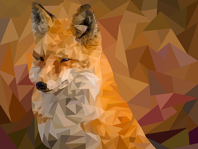 Fox / Polygon Art adobe illustrator animal art graphic art graphic artist illustration illustrator vector wacom