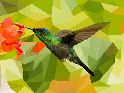 Hummingbird / Polygon Art adobe illustrator animal art bird illustration graphic art graphic artist hummingbird illustration illustrator vector wacom