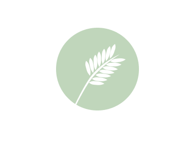 Wheat Logo branding design logo logodesign wheat