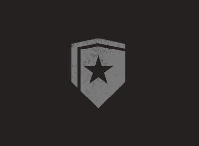 Grey Shield Logo logo logo design shield star