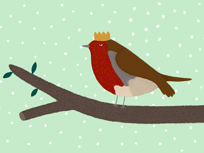 Robin adobe photoshop bird card design christmas christmas card cute design digital art digital illustration funny greetings card illustration robin